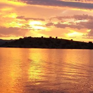 Meet your Posher, Liz